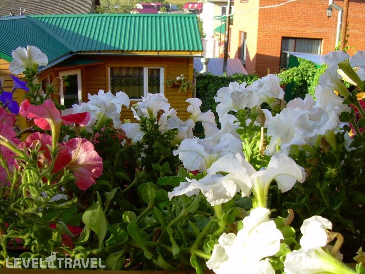 Изображение отеля 24