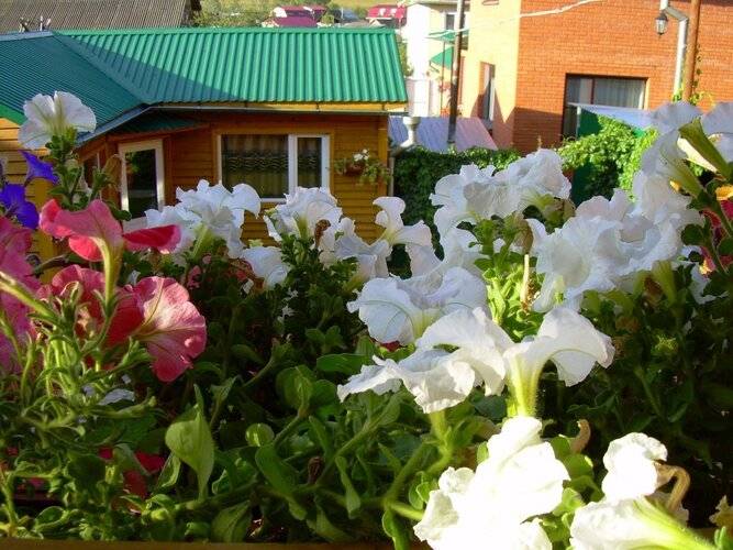 Гостевой Дом Ивановский