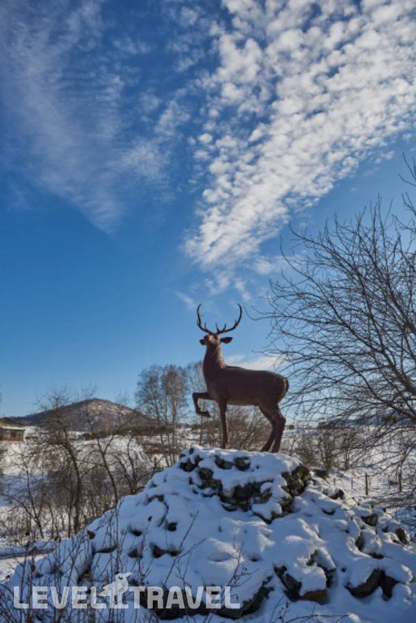 фотографии отеля Маральник Altai Palace в Россия(Алтайский район) - фото №11