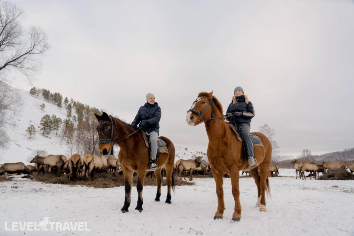 фотографии отеля Маральник Altai Palace в Россия(Алтайский район) - фото №8