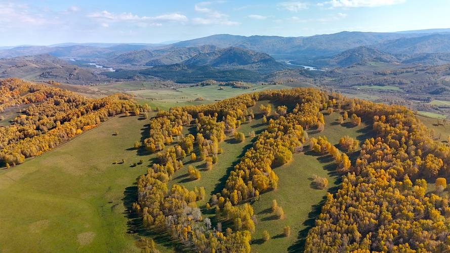 Маральник Altai Palace