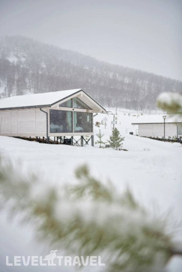 фотографии отеля Маральник Altai Palace в Россия(Алтайский район) - фото №5