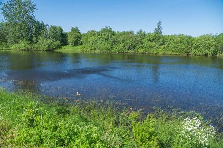 Гостевой Дом С Баней У Реки