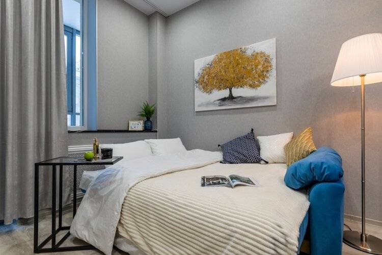 Апартаменты Roomy Room Граф Орлов Студио