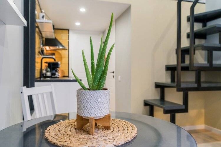 Апартаменты Uppapart Моховая 43