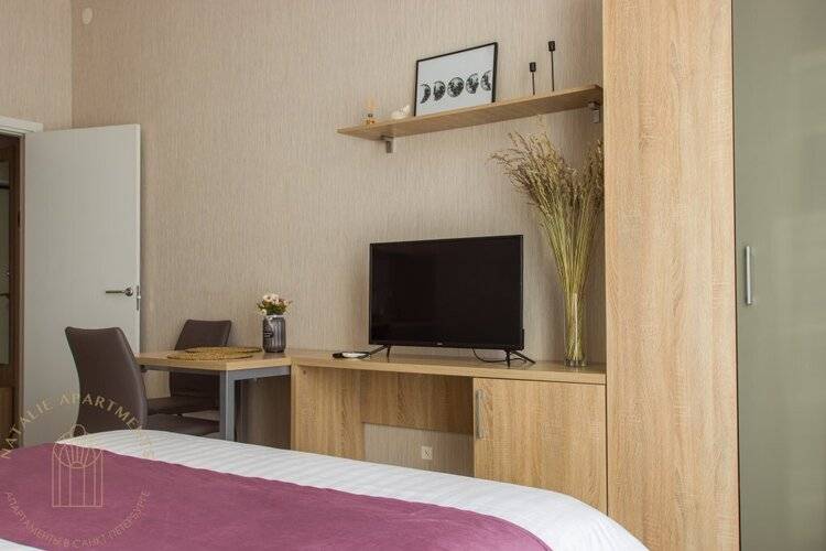Студия Natalie Apartments Пулковское Шоссе 14/6 (5)