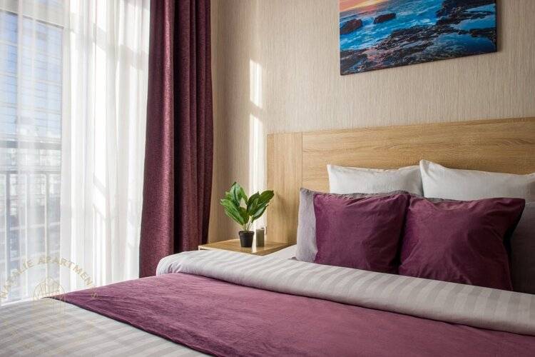 Студия Natalie Apartments Пулковское Шоссе 14/6 (5)