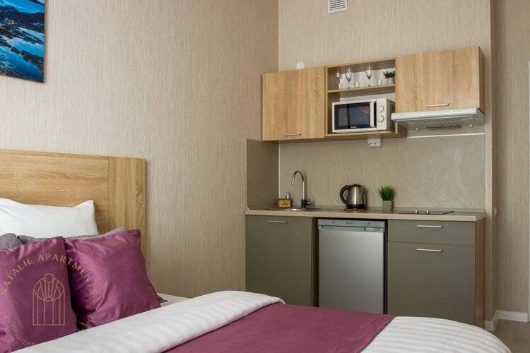 Студия Natalie Apartments Пулковское Шоссе 14/6 (5)