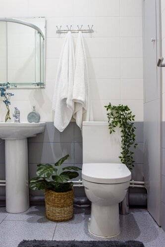 Студия Natalie Apartments Пулковское Шоссе 14/6 (6)