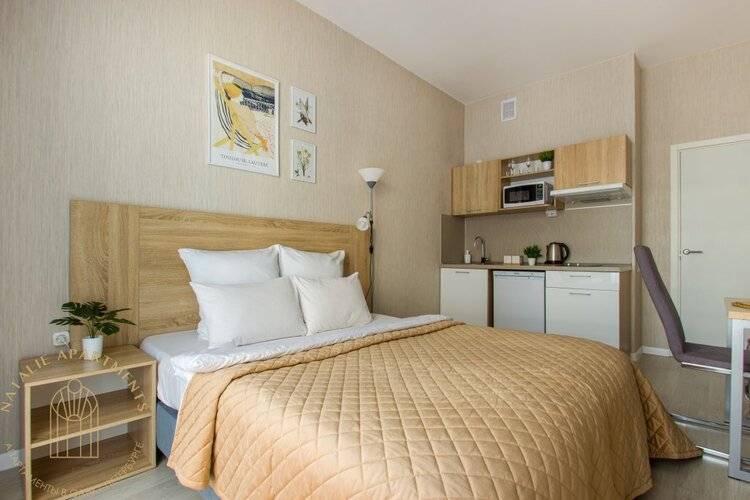 Студия Natalie Apartments Пулковское Шоссе 14/6 (7)