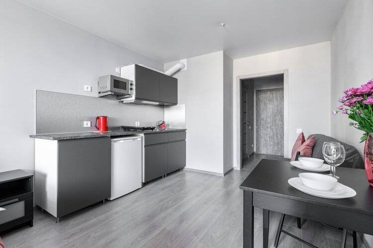 Апартаменты Rental Spb Московский 97