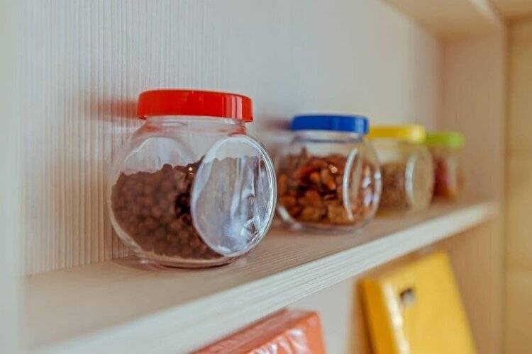 Ренталспб На Московском 205