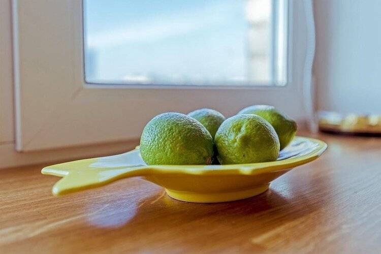 Ренталспб На Московском 205