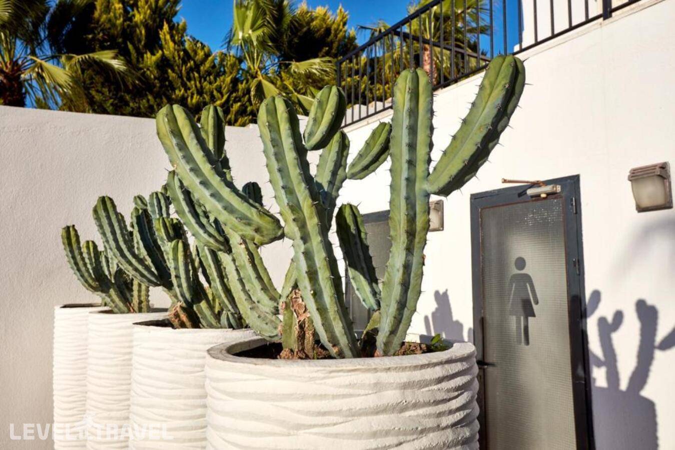 фотографии отеля Med-Inn Boutique Hotel в Турция(Гюллюк) - фото №28