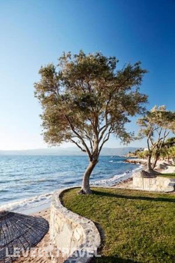 фотографии отеля Med-Inn Boutique Hotel в Турция(Гюллюк) - фото №22