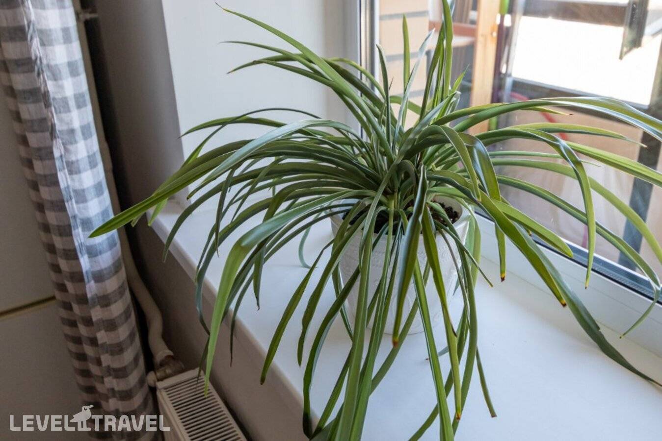 фотографии отеля Апартаменты Satin Home Eco Scandic в Россия(Выборгский район) - фото №8