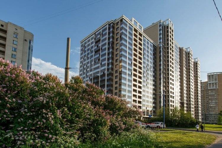 Апартаменты Roomyroom Forest Glade