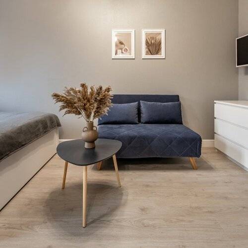 Апартаменты Сканди-Студия Piter Apartments У Метро Фрунзенская