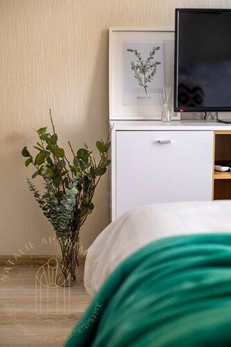 Апартаменты Студия Natalie Apartments Пулковское Шоссе 14 Е (18)