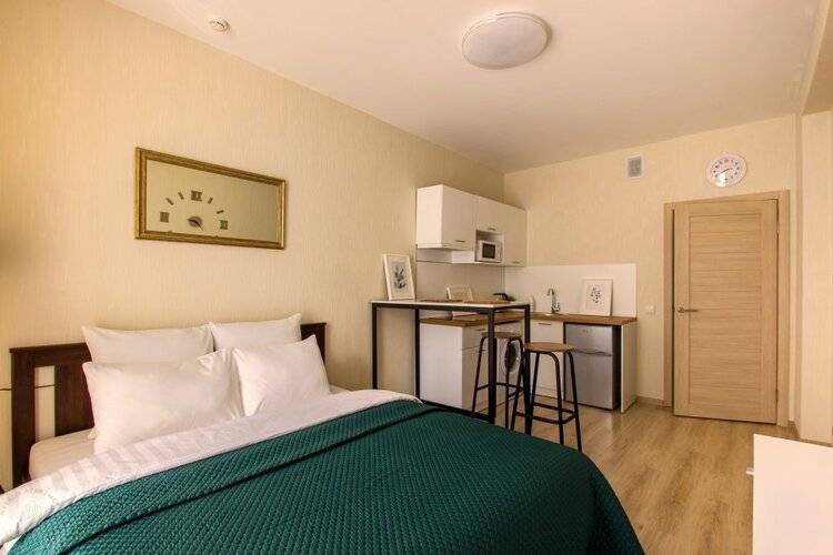 Апартаменты Студия Natalie Apartments Пулковское Шоссе 14 Е (18)