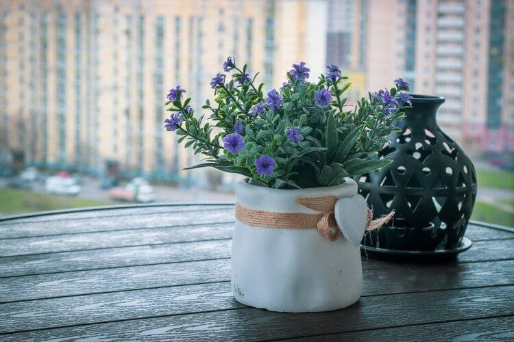 Студия Natalie Apartments Пулковское Шоссе 14/6 (9)