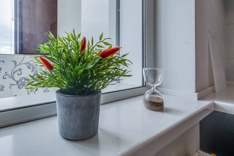 Апартаменты На Приморском Проспекте 137к1