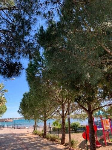 Fiesta Beach Didim