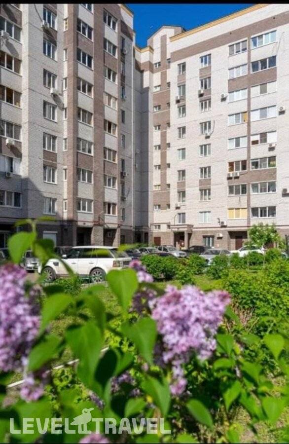 Изображение отеля 4