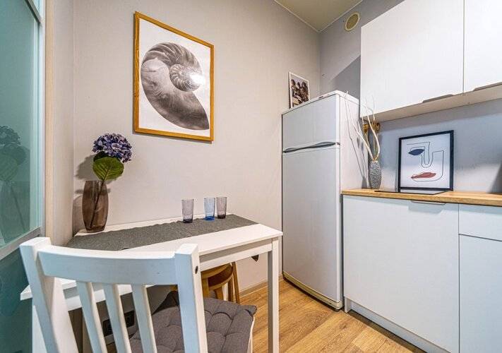 Апартаменты Loft Petrograd 3