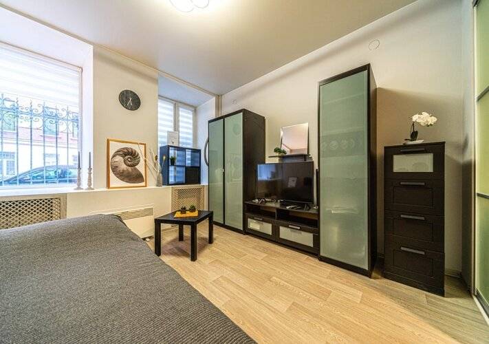 Апартаменты Loft Petrograd 3