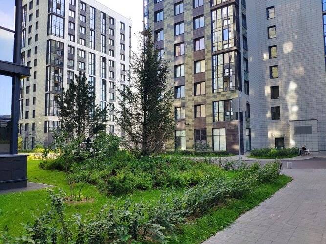 Апартаменты Завтрак В Монако На Васильевском Острове