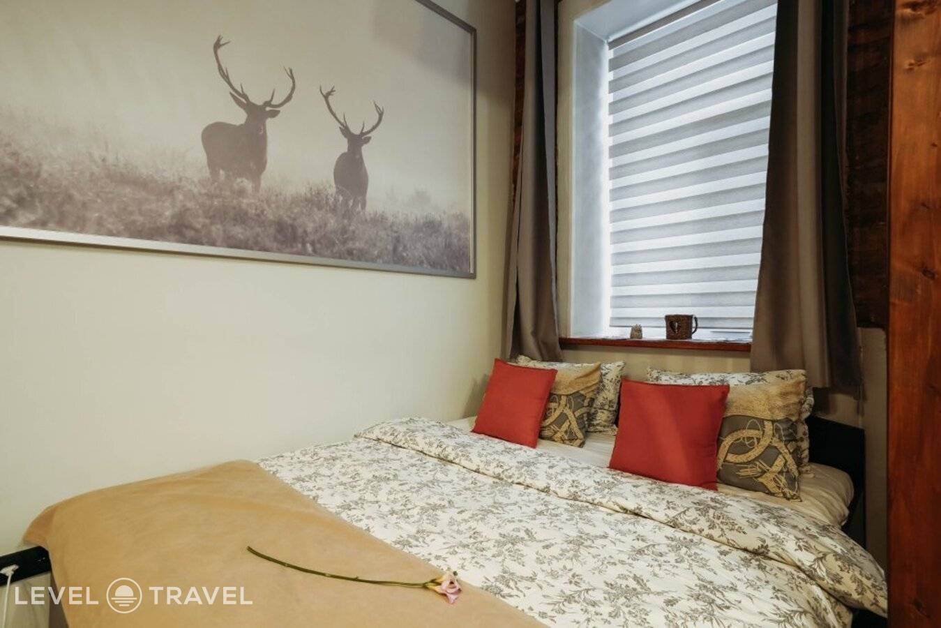 фотографии отеля Alpine Castle в Россия(Фрунзенский район) - фото №14