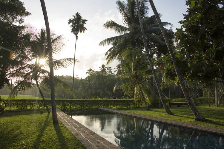 Luxury Villa 10