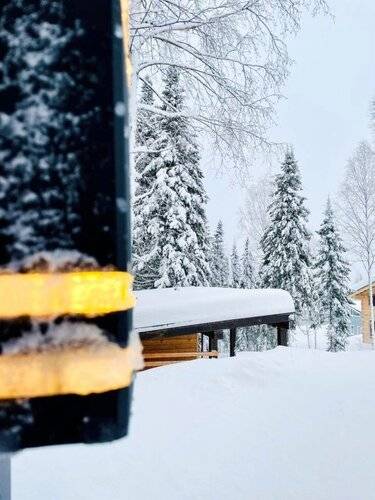 Шале Mountain Club Sheregesh