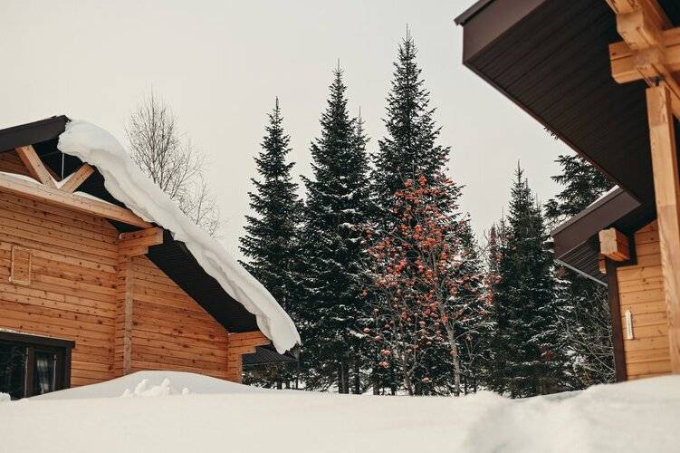 Альпийский Home Club