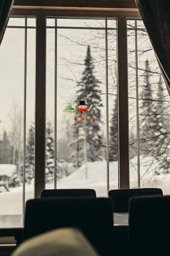 Альпийский Home Club