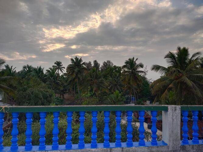 Mandrem Retreat Beach Resort