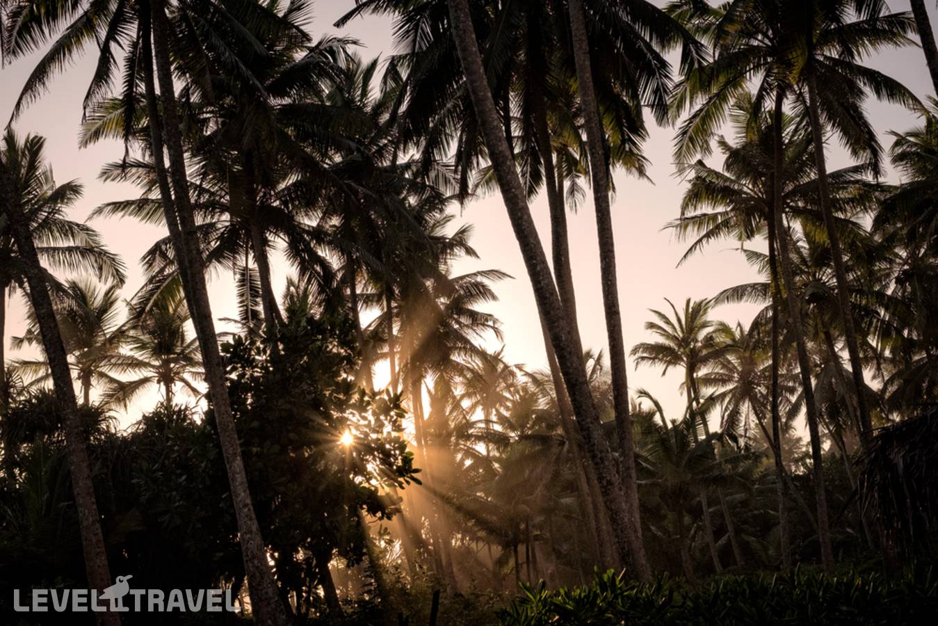 фотографии отеля Luxury Villa 17 в Шри-Ланка(Диквелла) - фото №4