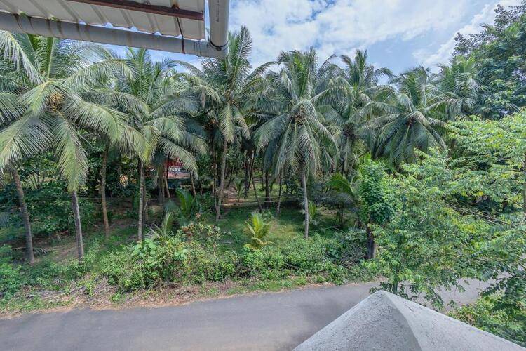 The Sequeira Goa