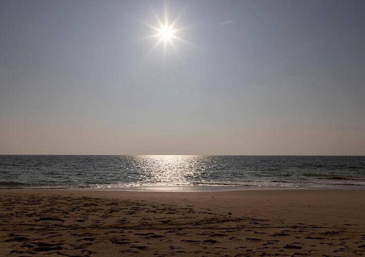 Sea Breeze