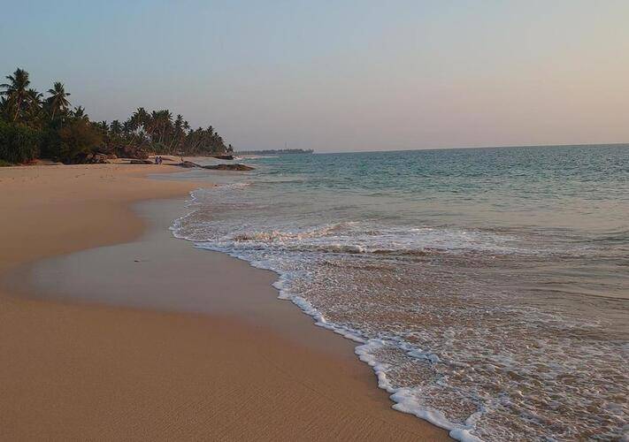 Sea Breeze