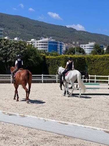 B.Equine Range Hotel