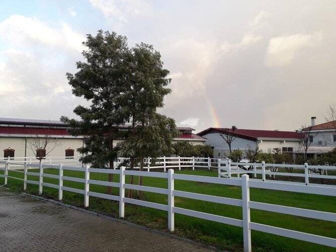 B.Equine Range Hotel
