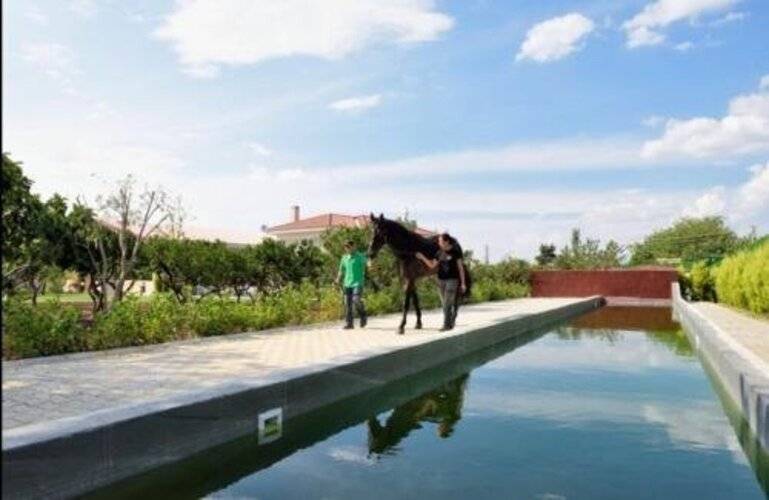 B.Equine Range Hotel