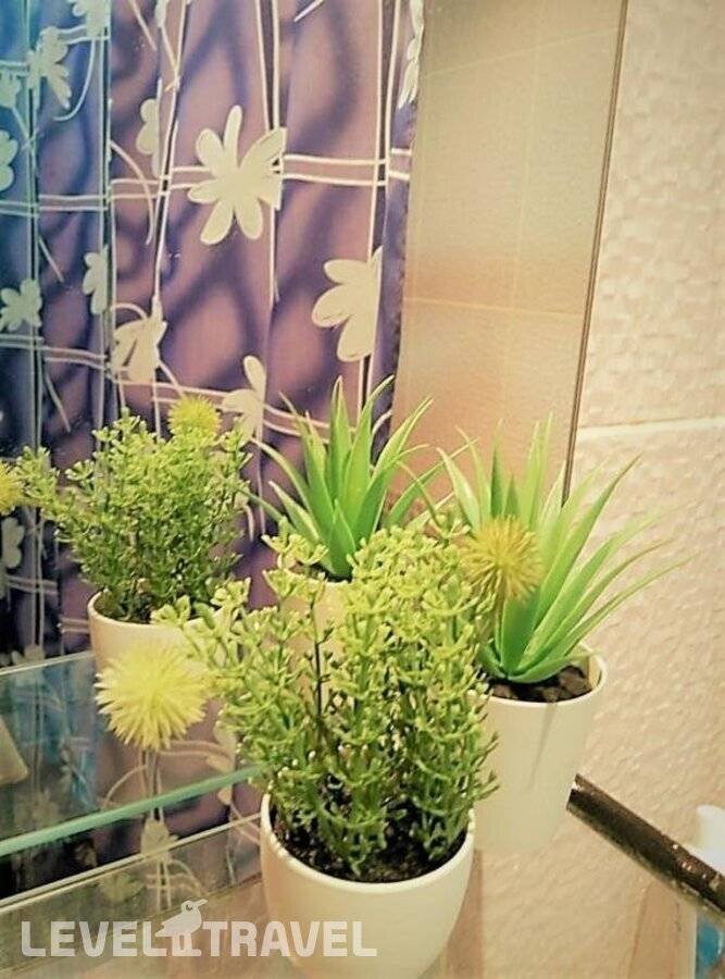 Изображение отеля 16