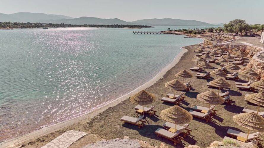 Anda Barut Collection