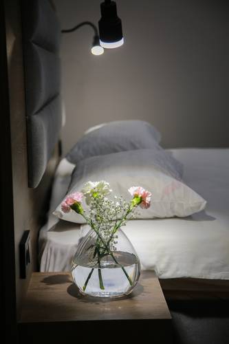 Buta Hotel