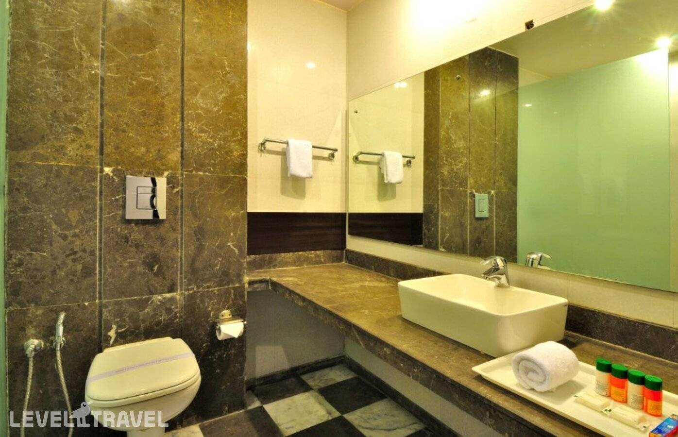 фотографии отеля Hotel Elegance New Delhi Railway в Индия(Нью-Дели) - фото №17