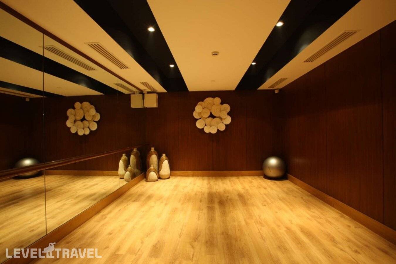 фотографии отеля Radisson Blu Plaza Delhi Airport в Индия(Нью-Дели) - фото №19