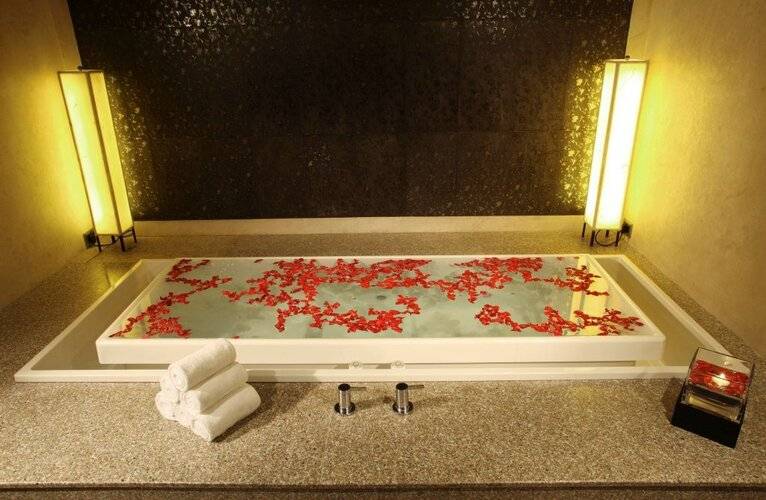 Radisson Blu Plaza Delhi Airport